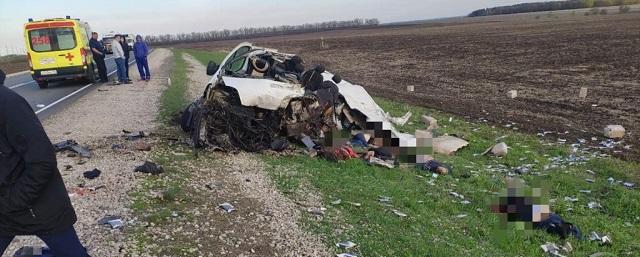 Пять человек погибли в аварии с микроавтобусом и фурой на трассе в Татарстане