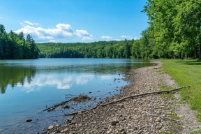 В Хабаровске тратят миллионы на уничтожение уникального озера с редкими животными
