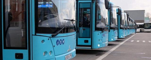 Смольный рискует потратить миллиарды бюджетных рублей на автобусы низкого качества