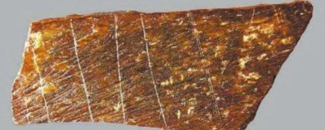 В Китае найдены рисунки на костях возрастом 105–125 тысяч лет