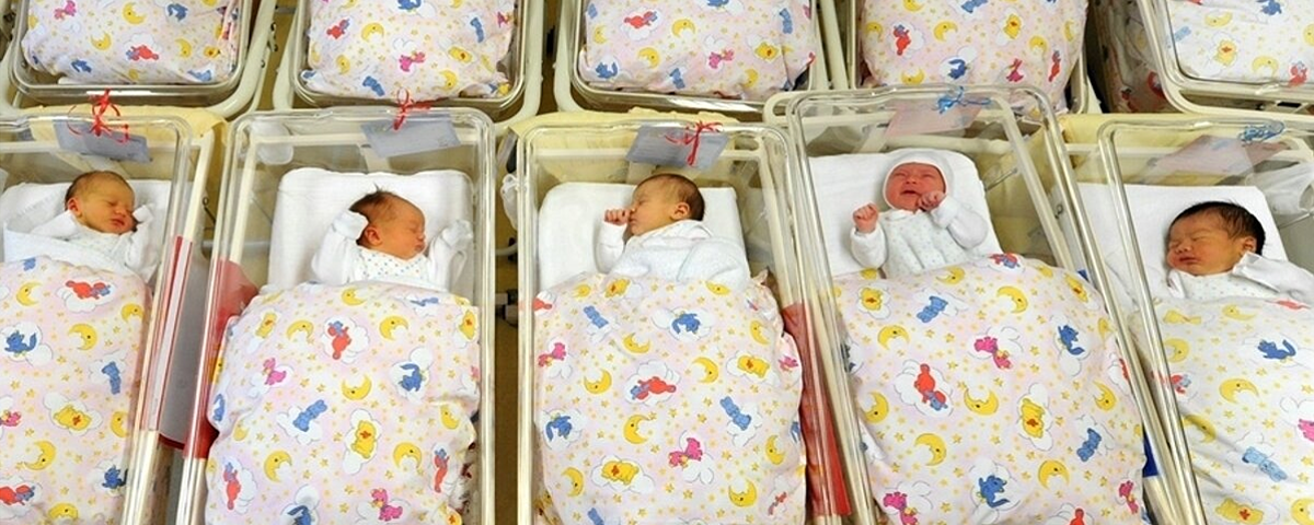 В Красногорском роддоме за сутки родилось рекордное число детей