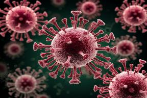 Академик Чумаков развеял мифы об опасности вирусов из вечной мерзлоты