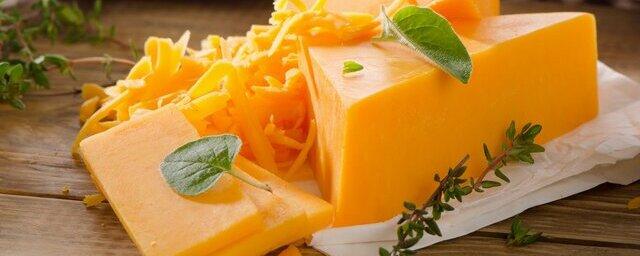 Эндокринолог Павлова объяснила, что злоупотребление сыром может вызвать головную боль
