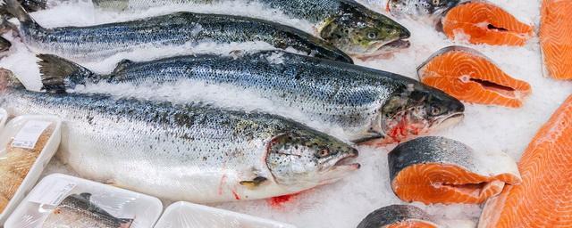 Эксперт Фомин: В России цены на красную рыбу вырастут еще на 25%