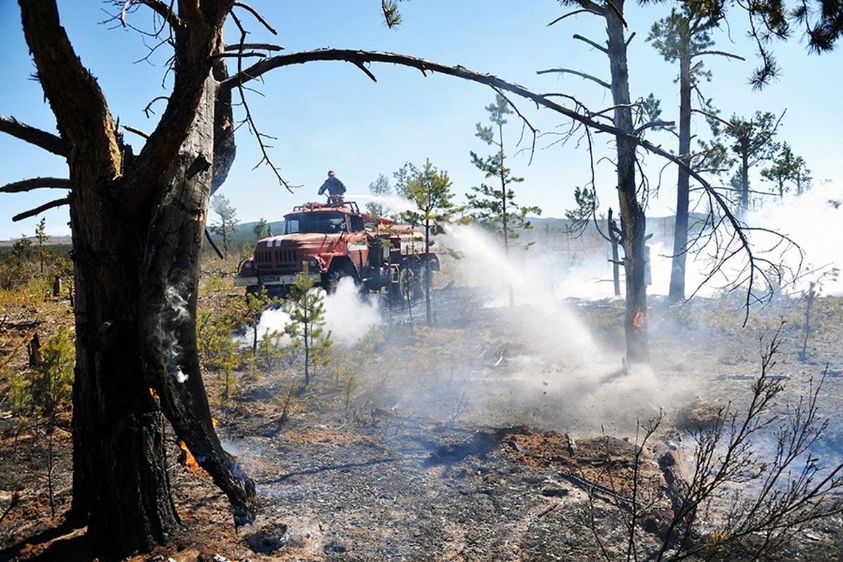 МЧС: В связи с аномальной жарой в Новгородской области повышается риск пожарной опасности