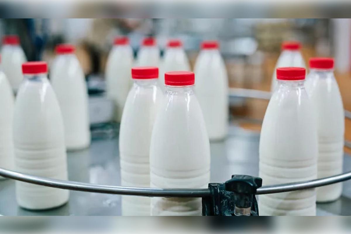 Минсельхоз: российские сельхозорганизации увеличили объем производства молока почти на 3%