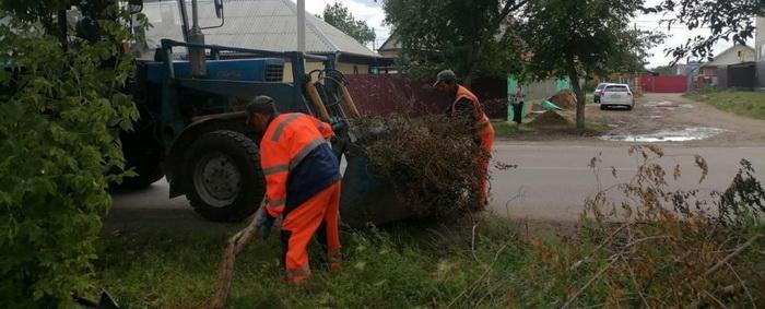 В Абакане после урагана вывезли 452 грузовика растительных отходов