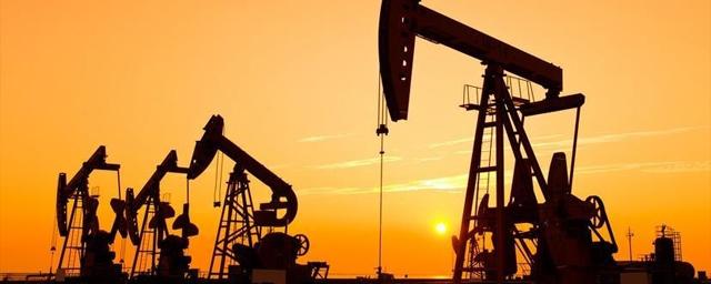 Indian Oil увеличивает поставки российской нефти в Индию