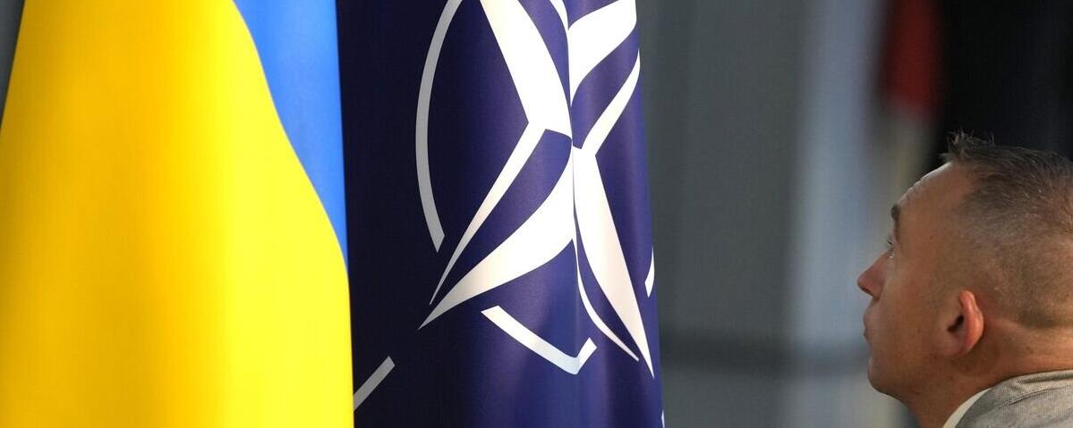 Британский полковник допустил ввод войск НАТО на Украину