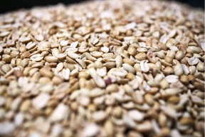 100 тонн арахиса из Никарагуа не выпустили из порта Петербурга из-за обнаружения вредителя