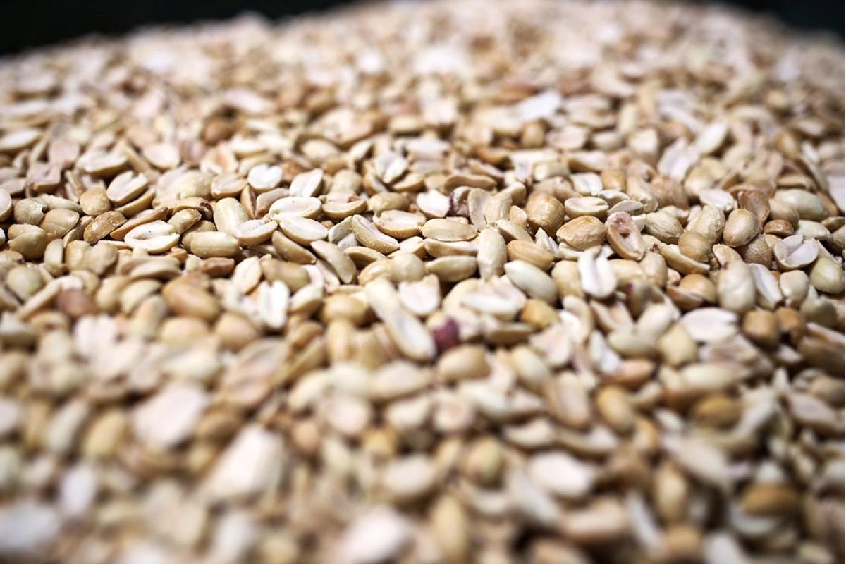 100 тонн арахиса из Никарагуа не выпустили из порта Петербурга из-за обнаружения вредителя