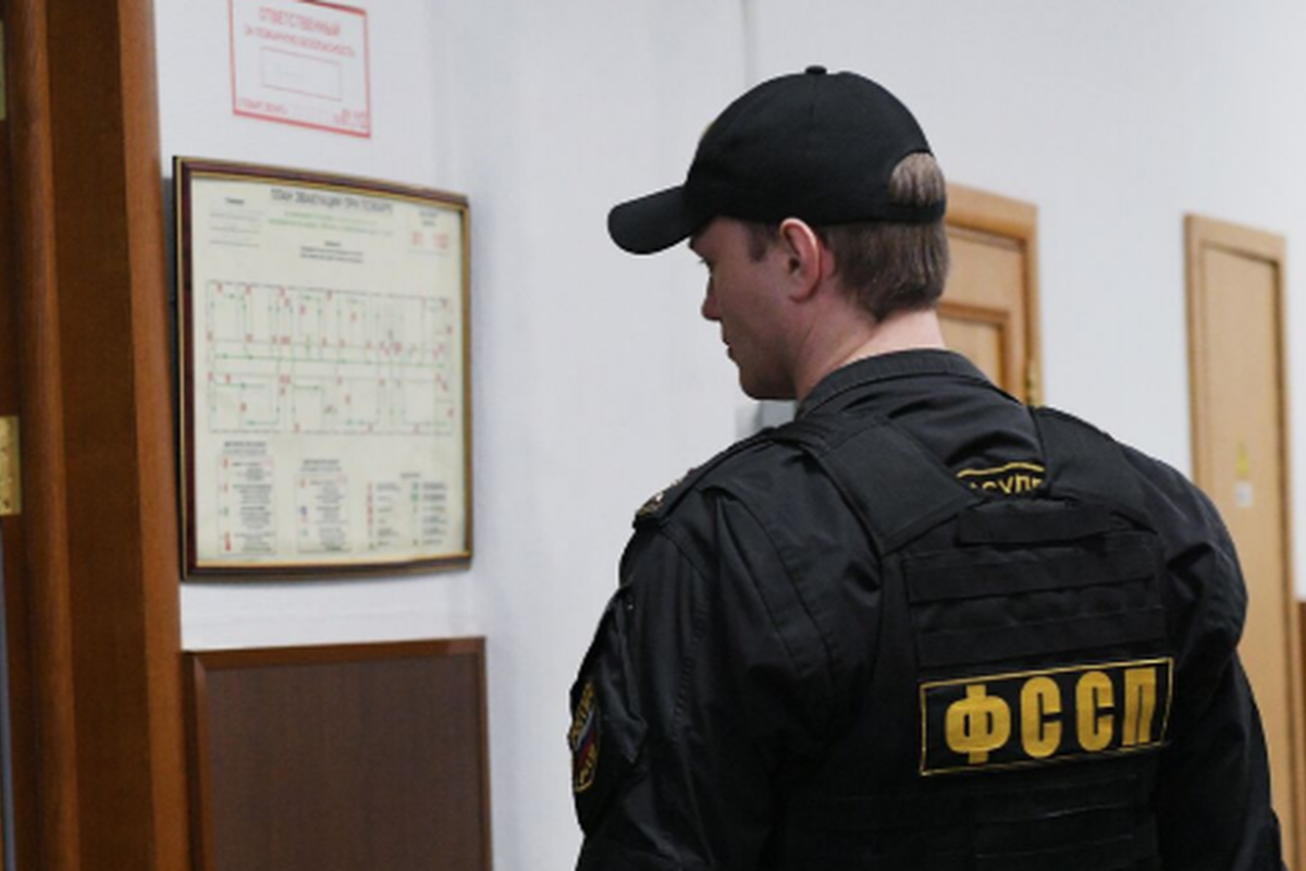 В Мордовии фермер вернул заказчику пять миллионов рублей после вмешательства приставов