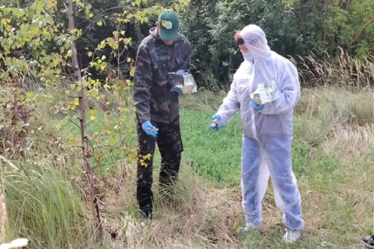 В Мордовии в ходе прививочной кампании вакцины от бешенства получат 50 тысяч животных