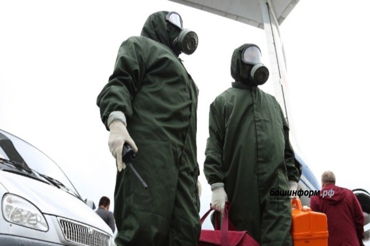 Карантин по бешенству животных ввели в Чишминском районе Башкирии