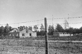 Депутат АдГ призвал оставить связанные с Холокостом вещи в Германии