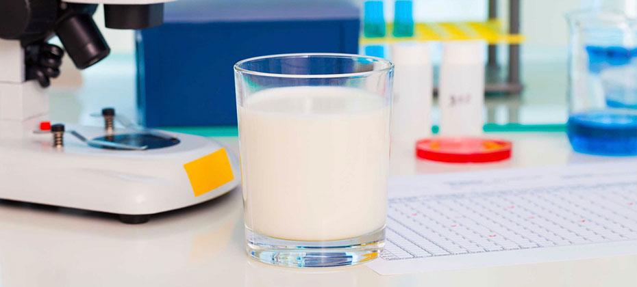 В Барнауле открывается лаборатория молока и сыроделия