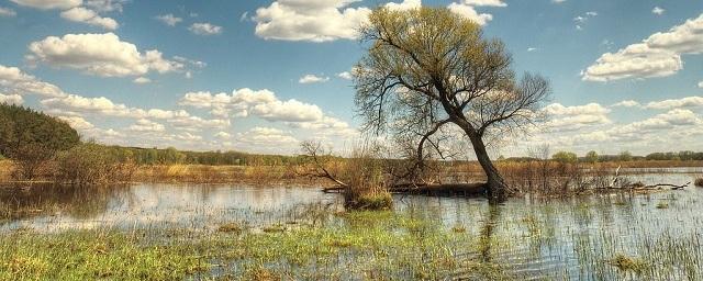 Пострадавшим из-за паводка в Амурской области перечислили более 100 миллионов рублей