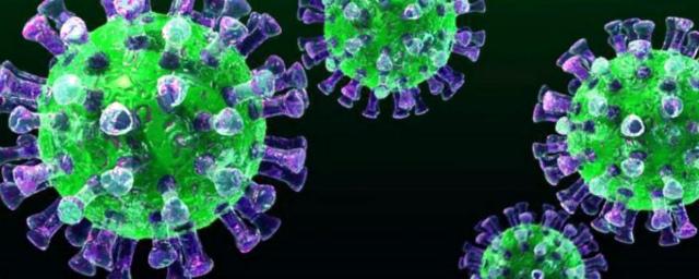 В Амурской области число зараженных коронавирусом превысило 11 тысяч