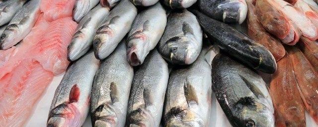 Камчатка расширила географию экспорта рыбной продукции