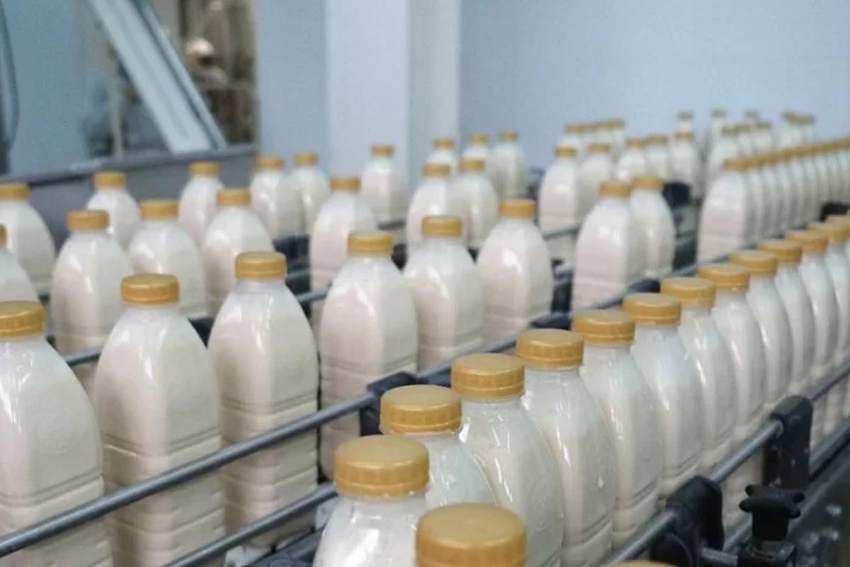 Производство кисломолочной продукции в Калужской области выросло до 26 тысяч тонн