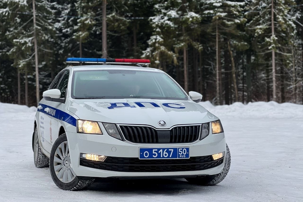 В городском округе Пушкинский до 22 декабря проведут три профилактических мероприятия