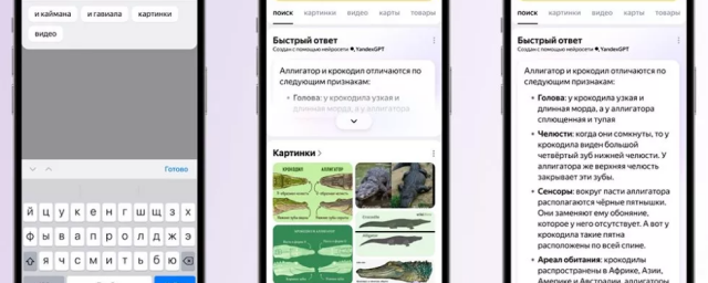 «Яндекс» запустил тестирование быстрых ответов на запросы в строке «Поиска»