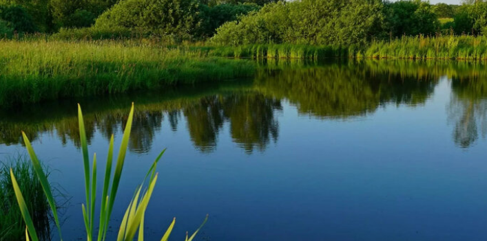 В Республике Татарстан займутся очисткой восьми водоемов