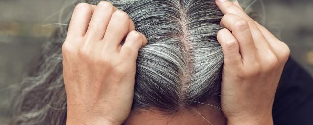 Американские учёные: седые волосы у молодых людей появляются из-за стресса