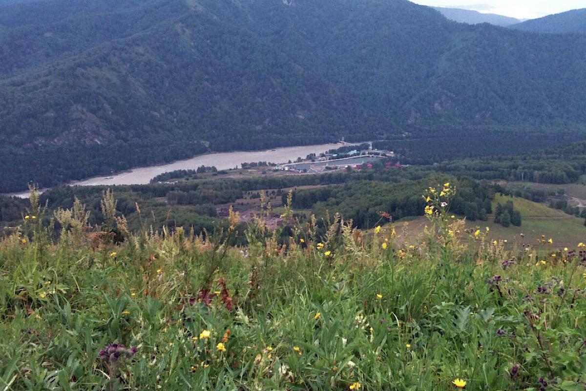 В Туве зафиксировано землетрясение магнитудой 3,1