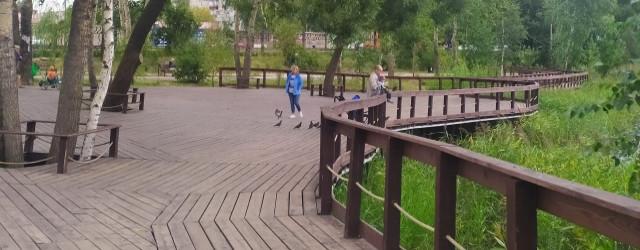 В Светлоярском парке приступили к монтажу инфраструктуры для системы видеонаблюдения