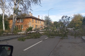 Штормовой ветер повалил деревья в Карелии