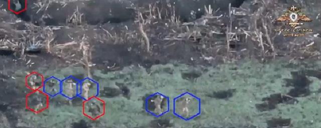 Народная милиция ДНР захватила опорный пункт ВСУ у Невельского