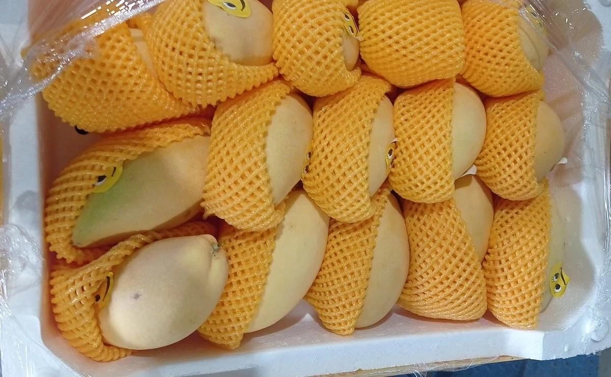 В Красноярске обнаружили партию заражённых плодов манго