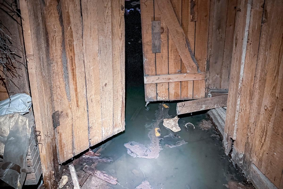 Жители Пскова пожаловались на антисанитарию в подвале многоквартирного дома