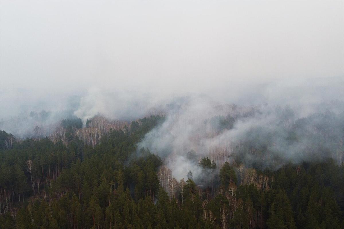 В Канаде из-за лесных пожаров погибли два человека
