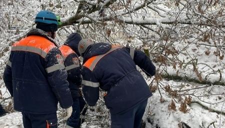 Курские спасатели убирают упавшие деревья во дворах жилых домов