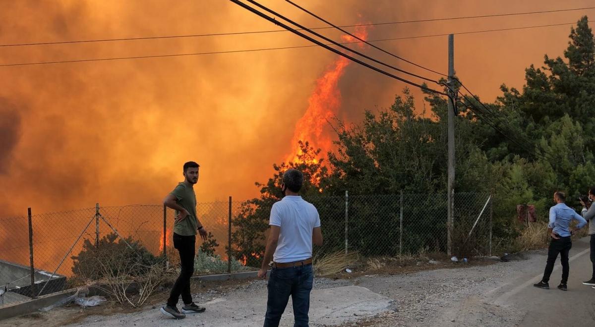 В Турции число погибших из-за лесных пожаров возросло до восьми