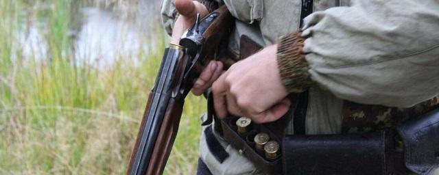 Житель Новосибирской области задержан за убийство двух косуль