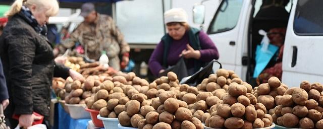 В Приморье в октябре подешевели лук и картофель