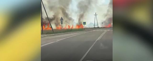 В Барабинском районе Новосибирской области загорелся камыш на болотах