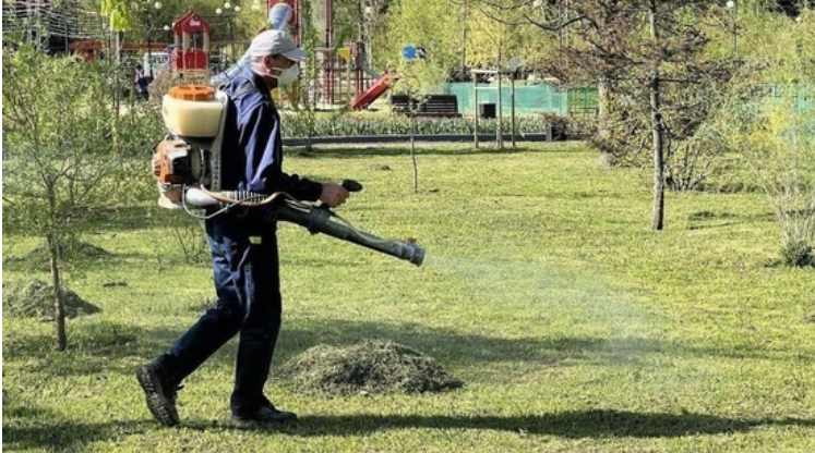 В Белгороде Центральный парк атаковали гусеницы