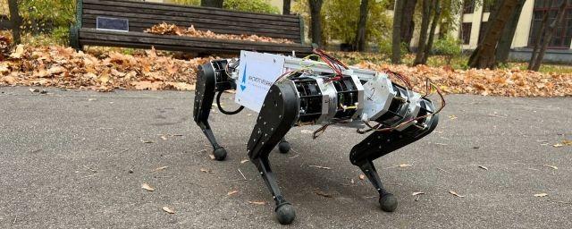 В НИИ механики МГУ создали первого в России шагающего робота