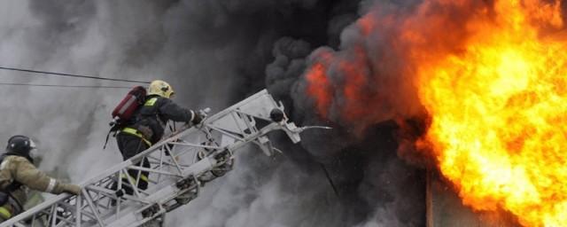 В подмосковном Видном загорелся строительный рынок