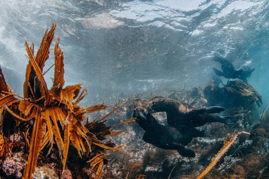 Новый рекорд Сахалина: остров посетят 300 тысяч туристов в 2025 году