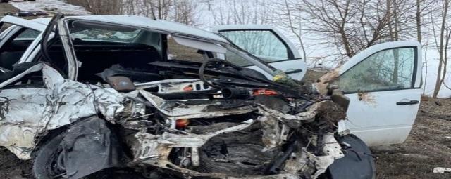 В Воронежской области возбудили уголовное дело по факту ДТП с тремя погибшими