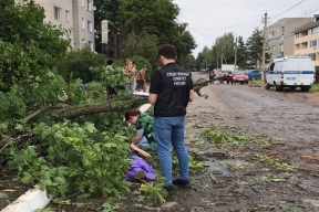 Девушка погибла в результате падения дерева в Белоруссии