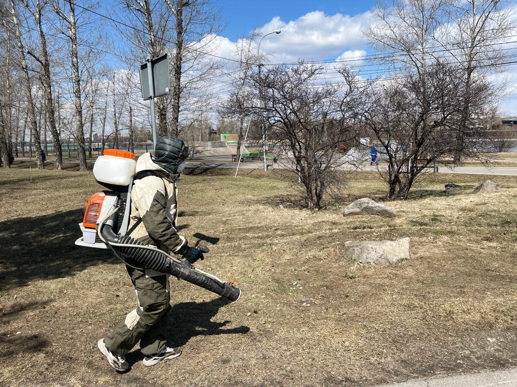 В Иркутске городские территории обрабатывают против клещей