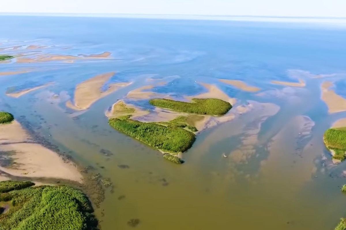 Волга может обмелеть из-за снижения уровня Каспийского моря