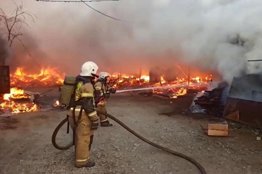 Из-за природных пожаров в Курганской области погиб 21 человек