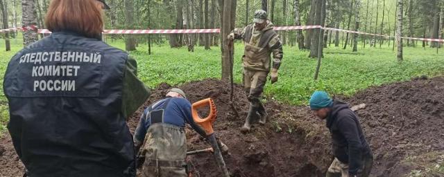 В Гатчине найдены останки убитых фашистами мирных жителей